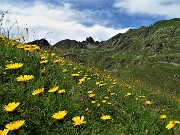 MONTE MINCUCCO (croce 1832 m - cima 2001 m) ad anello dal piano del Lago di Valmora il 17 luglio 2021 - FOTOGALLERY